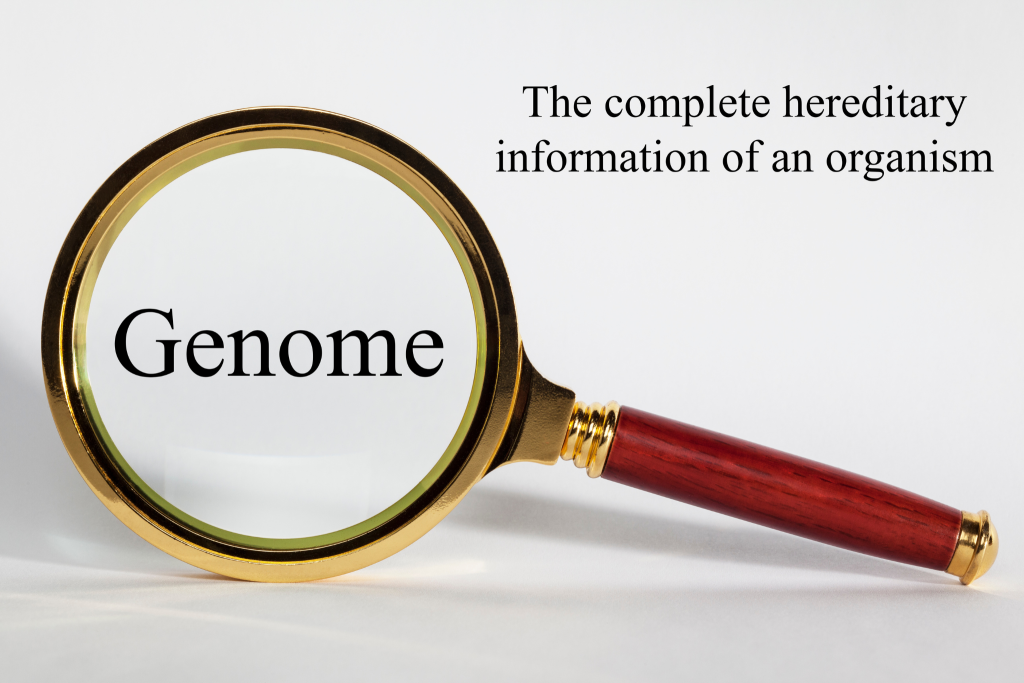 Image -definition of genomics