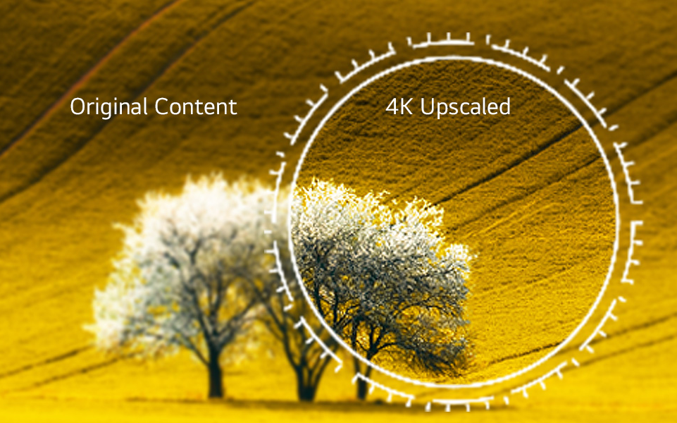 Image of 4k upscaled image