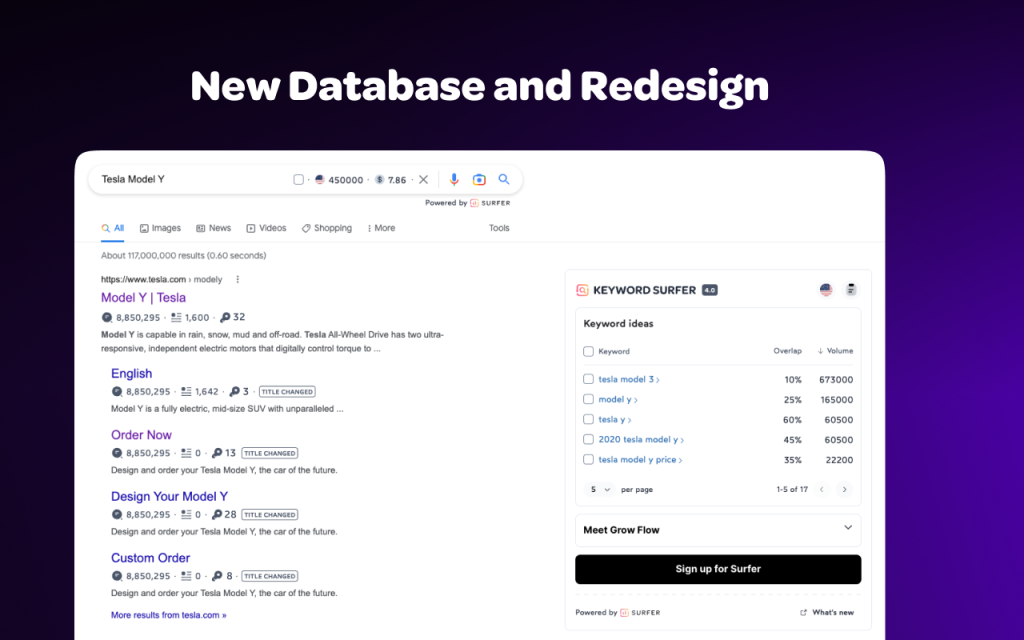 Image of keyword surfer-surfing the seo waves 