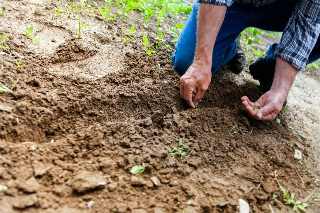 Image of a farmer checking his land's soil 
