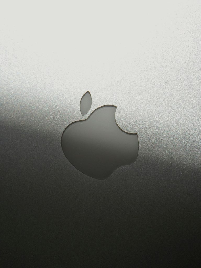 AI and Apple Went on a Vacation: Sun, Sand, and Strict AI Regulations 17 AI regulation and Apple regulation